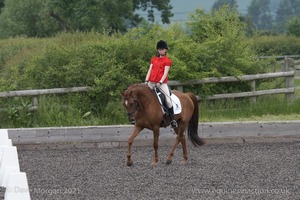 ISIS Dressage Challenge 2008